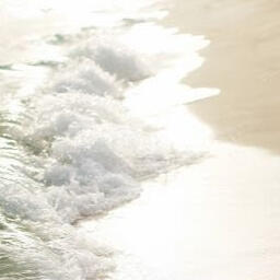 warm ocean